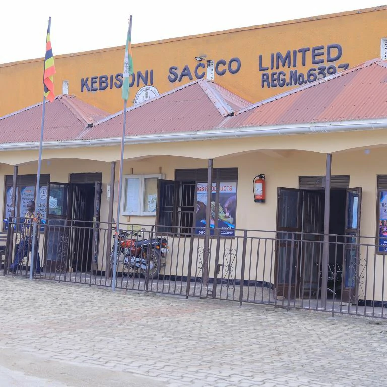 Kebisoni SACCO: A Trailblazer in Financial Inclusion